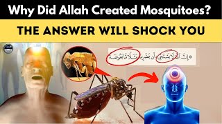 Why Did Allah Create Mosquitoes? The Answer Will Shock You 'Miracle of the Quran' | Islamic Lectures