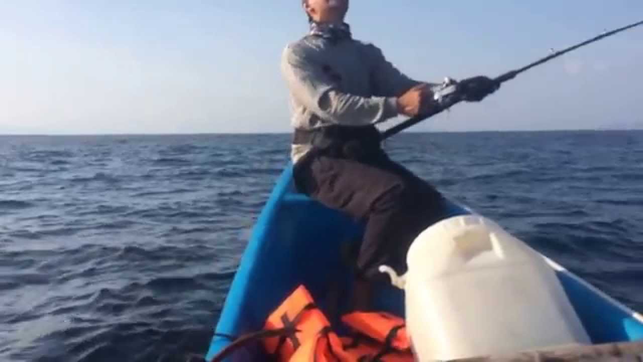 Rare Species. Barracouta a.k.a Snake Mackerel on Jig, by Gamaliel Sonda