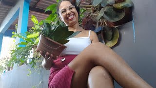 I Love Showing Plants Very Beautiful