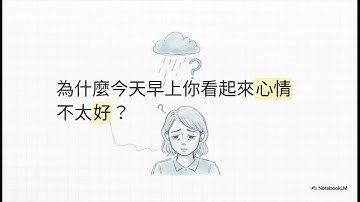 人生：一本沒有文字的說明書。NotebookLM創造的影片，不修正。很發人省思。