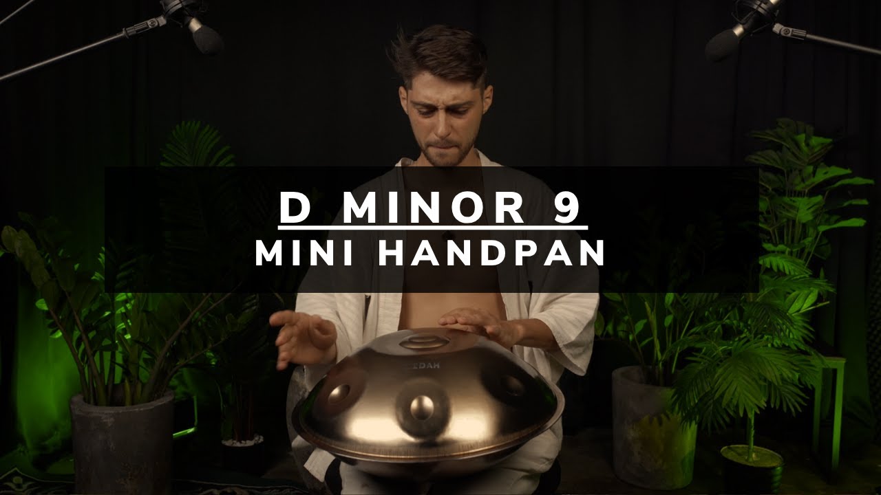 LIDAH® D Minor 9 - Mini Handpan - 43 cm - Dany Rud