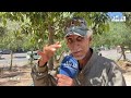 شاهد يكشف تفاصيل صادمة عن فاجعة حي مولاي رشيد.. مول الوكالة صفاها للضحية وهددني وأنا لي علمت البوليس