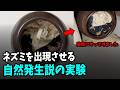 「ネズミが発生する…?」伝説の実験をやってみた