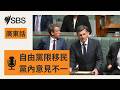 自由黨反移民「狗哨政治」惹黨內反彈 | SBS Cantonese - SBS廣東話節目