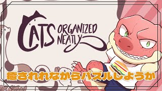 【Cats Organized Neatly】ねこの友達をピッタリとつめる【Vtuber】