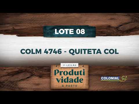 LOTE 08   COLM 4746