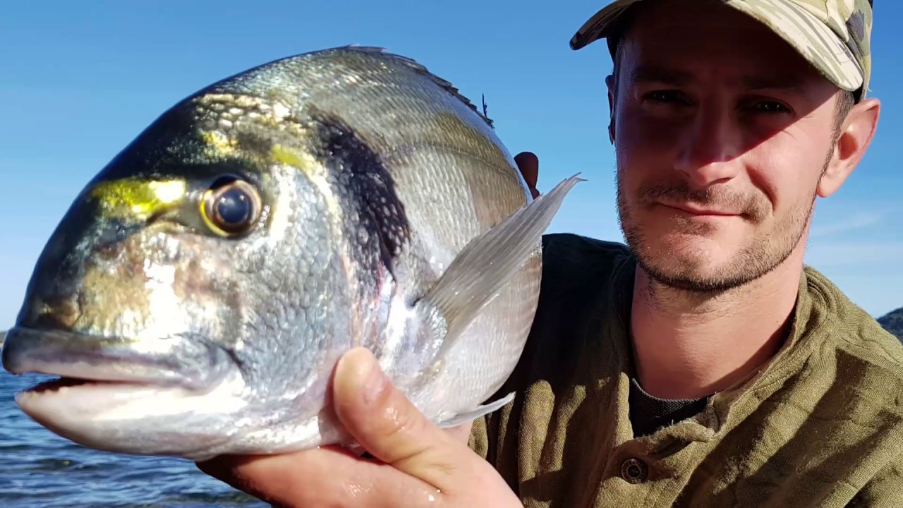 Video peche en mer 2018 Clearance