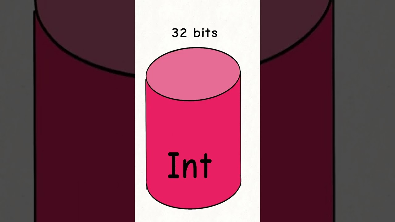 integer data types #educationalvideo  #coding #programming #computerscience #softwaredeveloper