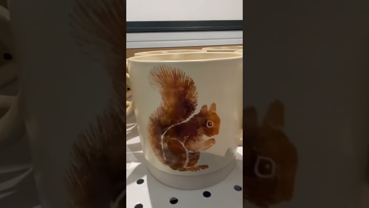 Fall Wreaths, Mugs, & More JoAnn 2024 