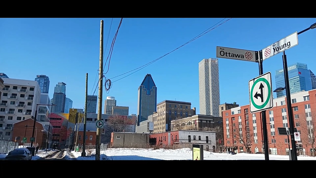 ФЕВРАЛЬ 2026 МОИ СЛУЧАЙНЫЕ ВИДЕОРОЛИКИ ИЗ МОНТРЕАЛЯ