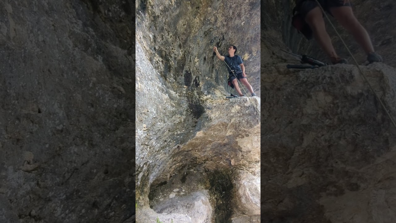 Twist, Wave, and Crossover comparison