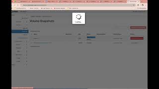 Openstack cloud-vps: Copy and transfer a volume between projects