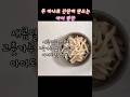 고춧가루 없이! 아이도 잘 먹는 무 하나로 만드는 초간단 무 무침 레시피 #아이반찬 #무 무침 #순한맛 무 무침
