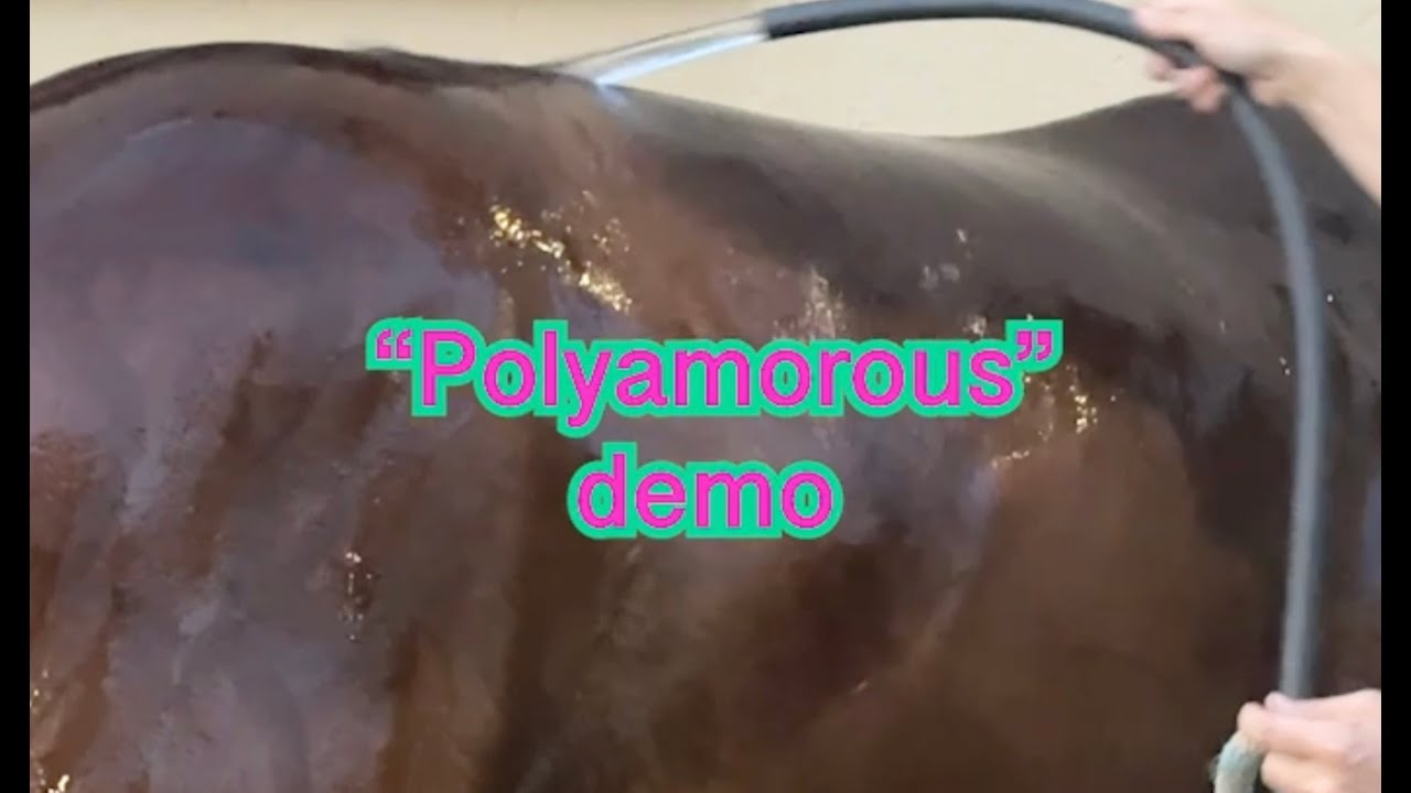 Polyamorous song Demo and Music Video