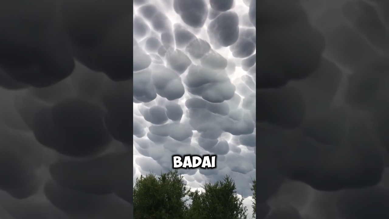 Awan Mammatus - Pertanda Sebelum Hujan Lebat #shorts #hujan #badai #petir #anginkencang