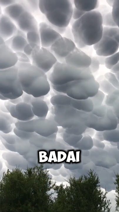 Awan Mammatus - Pertanda Sebelum Hujan Lebat #shorts #hujan #badai #petir #anginkencang