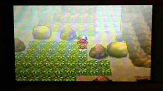 Pokemon Black and White Walkthrough - Special Part 61 - Dream World Event Arceus!