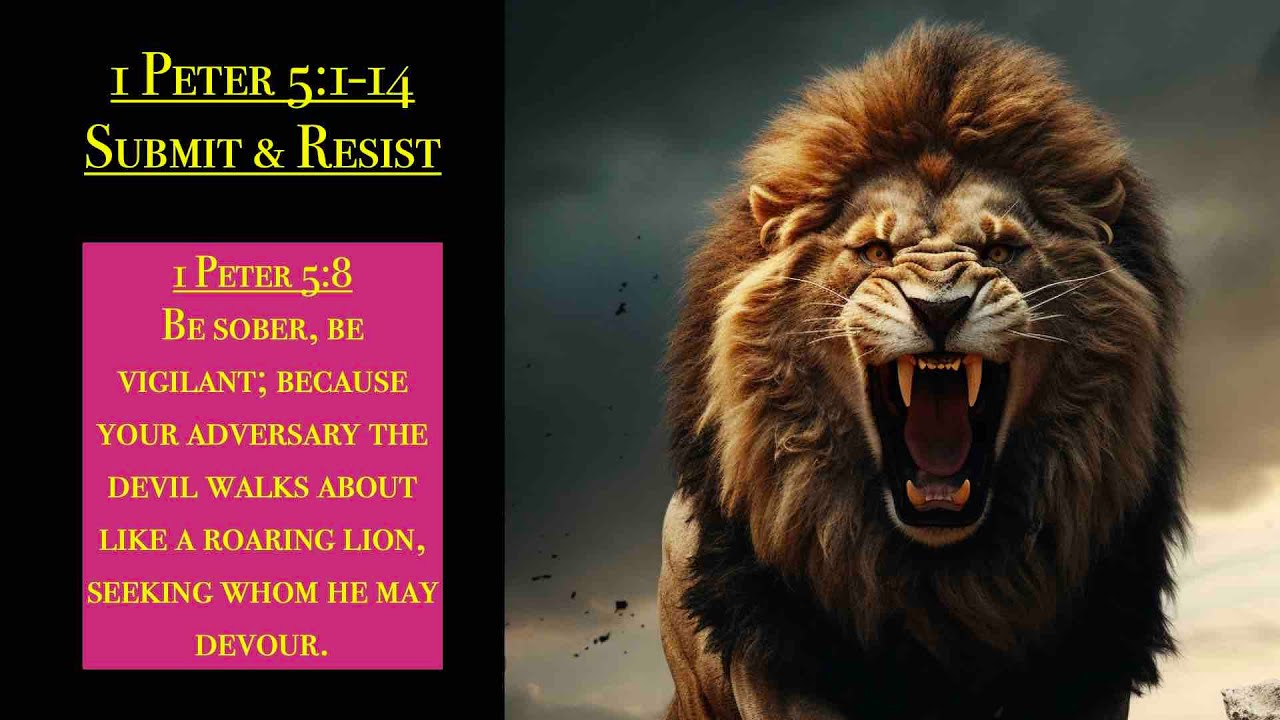 1 Peter 5 1 14 Submit Resist Part2 Grace Bible Fellowship 1 Peter 5 1 14 Submit Resist Part2 Grace Bible Fellowship