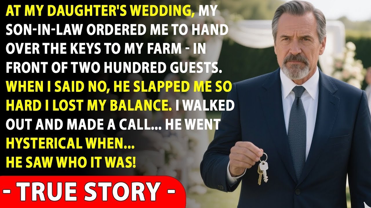 At My Daughter’s Wedding, My Son-In-Law Ordered Me To Hand Over The Keys To My Farm In Front Of