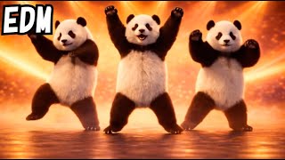 Warm Lights, Cute Moves 🐼✨ | Baby Panda EDM Hip-Hop Dance screenshot 5