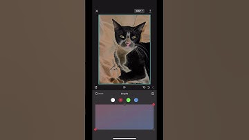 How to make 4ormulator V11 capcut speedrun