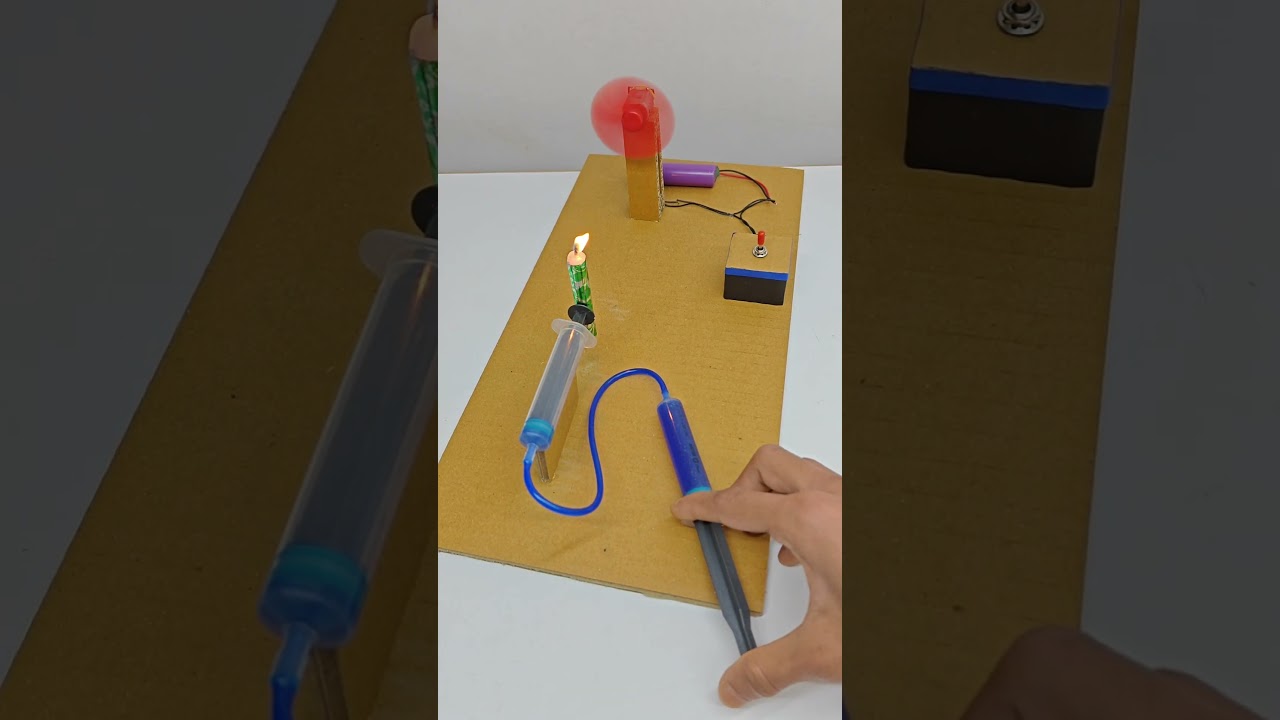 Best Science Project Ideas For School Students #shorts #experiment
