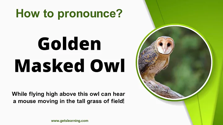 How to ssy (Golden Masked Owl) in English Correctly
