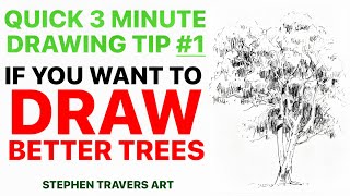 Quick Tip For Drawing More Realistic Trees
