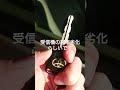 24年乗った 1997年式 10系 ハリアー 24年乗った 1997年式 10系 ハリアー
