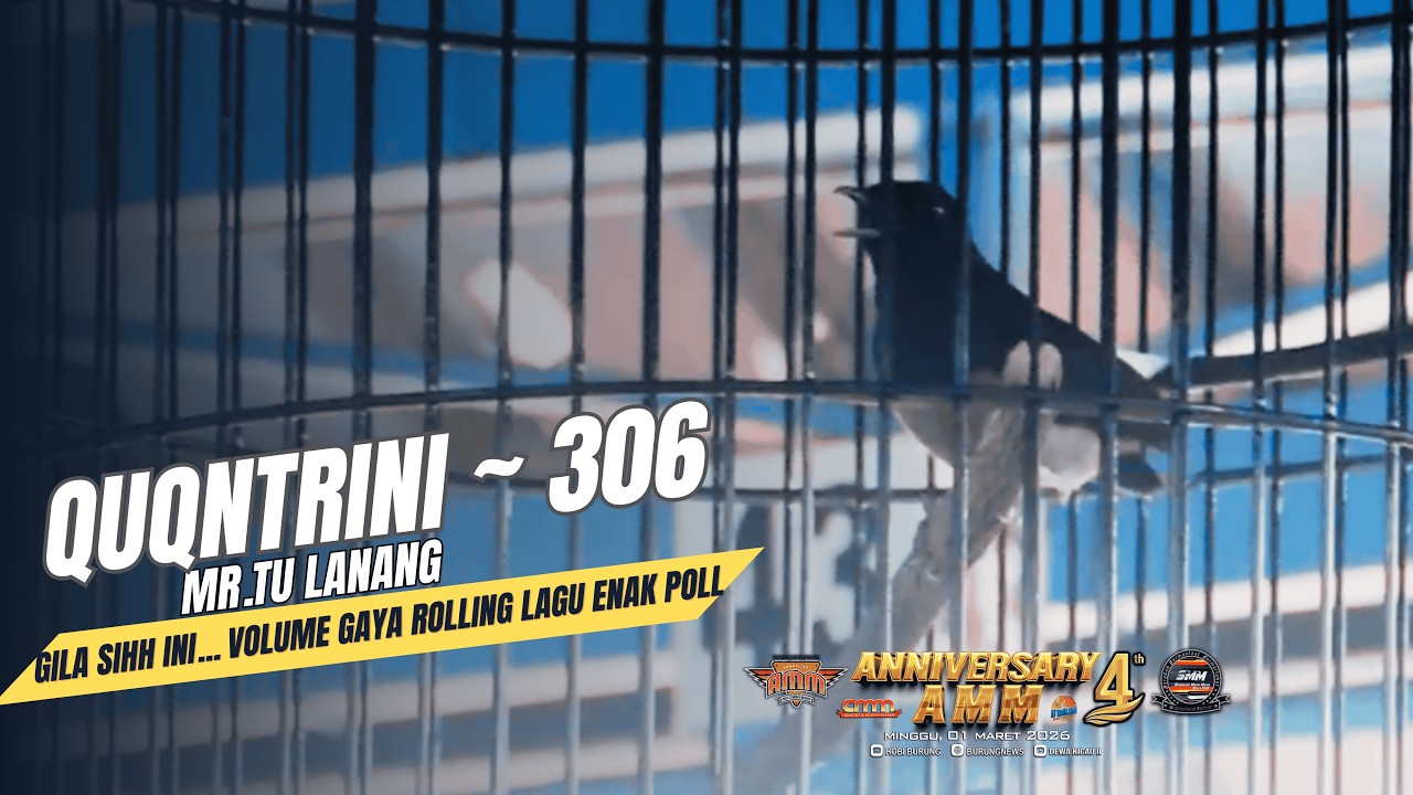 WOW🔥 NGERII INI BURUNG VOLUME BUANTER POLL... MATERI MELIMPAH GAYA ENAK