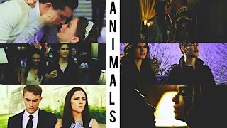 Multicouples | Animals