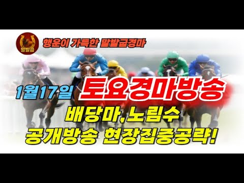 말발굽경마🔵1월17일 토요경마방송 🎯배당마,노림수공개 🐎서울경마 정기용경마