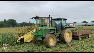 Picking & Packing Sweet Corn near Columbiana Ohio