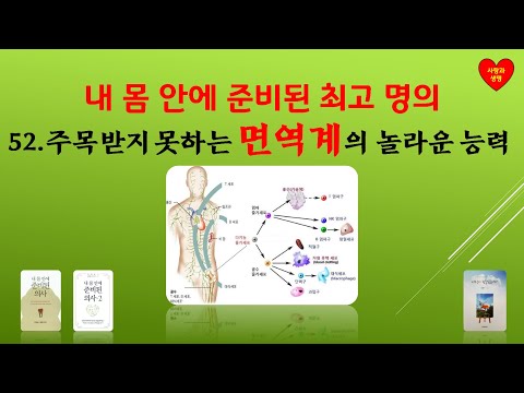 [내 몸 안에 준비된 최고 명의]  52. 주목 받지 못하는 면역계의 놀라운 능력