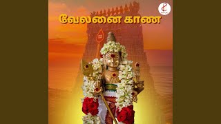 Velanai Kaana