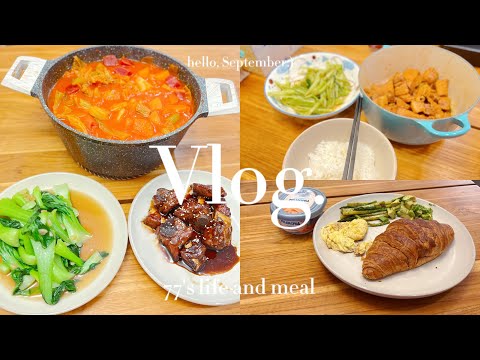 柒7’s Vlog 11 | 久违啦 | 红烧肉炖豆腐 | 罗宋汤| 补充肉类的周末