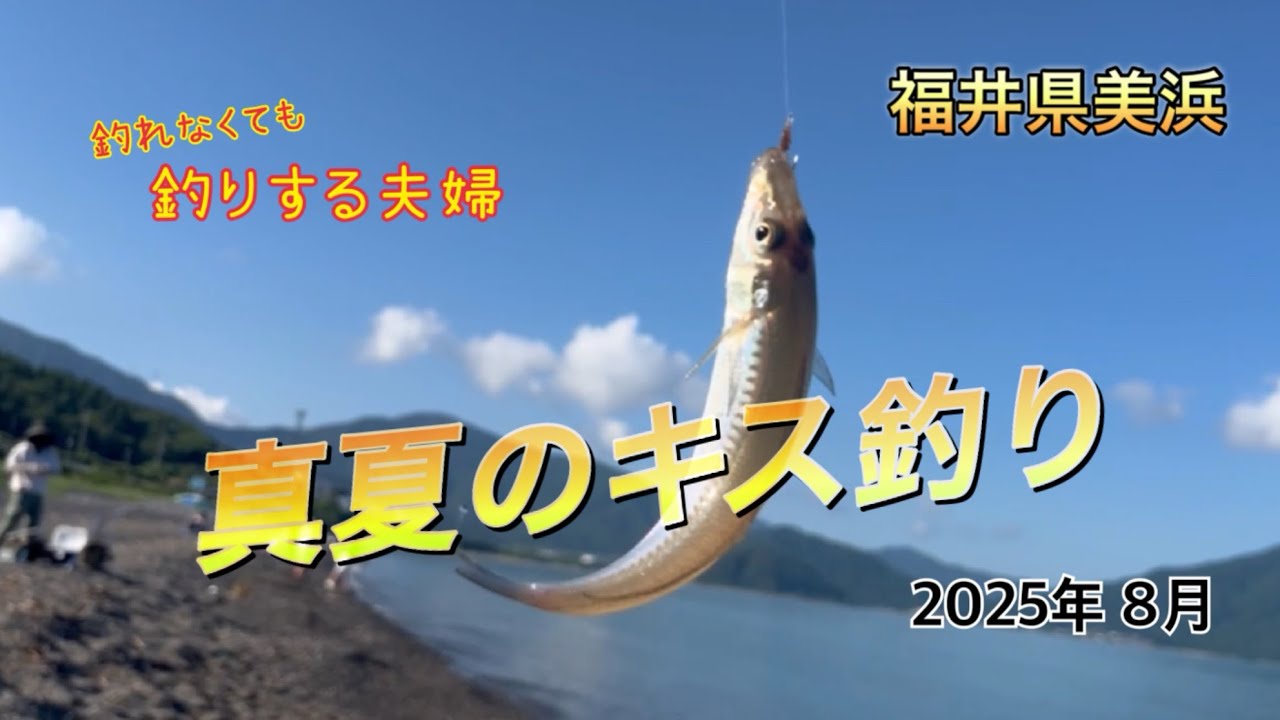 【キス】福井県美浜でキス釣り