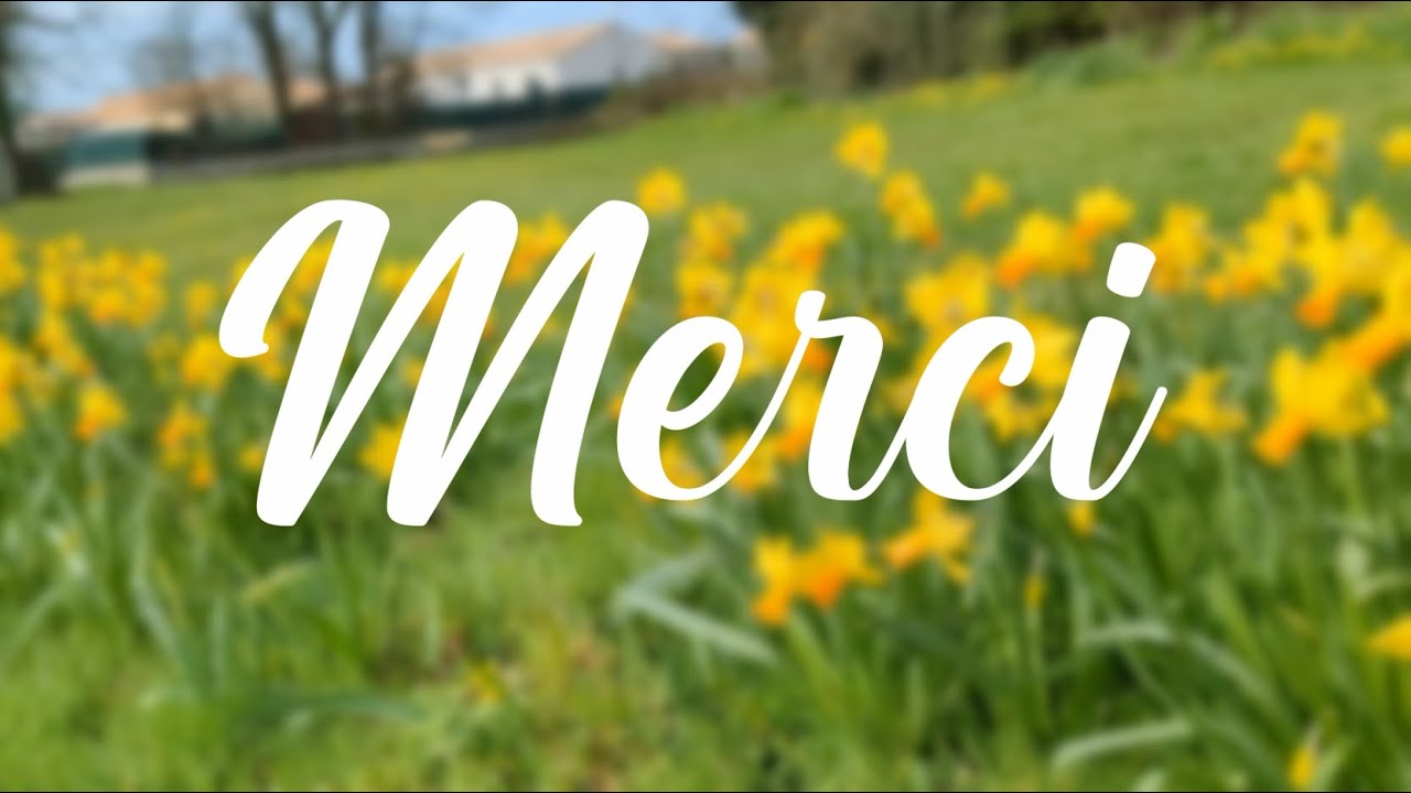 Rétrospective 2024 | Fougeré (85)