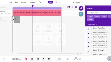 SoundTrap Tutorial Video #4