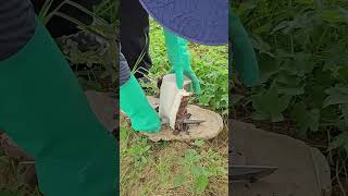 ZT 830000358 mini rotary tillage and ridging all-in one tree 🌴