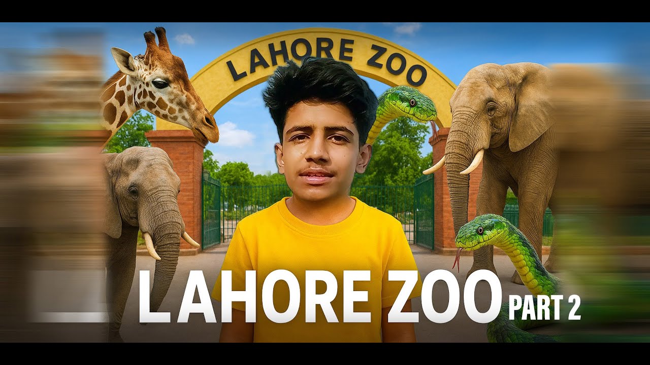 Long Drive to Lahore Zoo 🦁🐾 | Vlog Part 2 | Long Drive Series | Best Zoo in Pakistan?