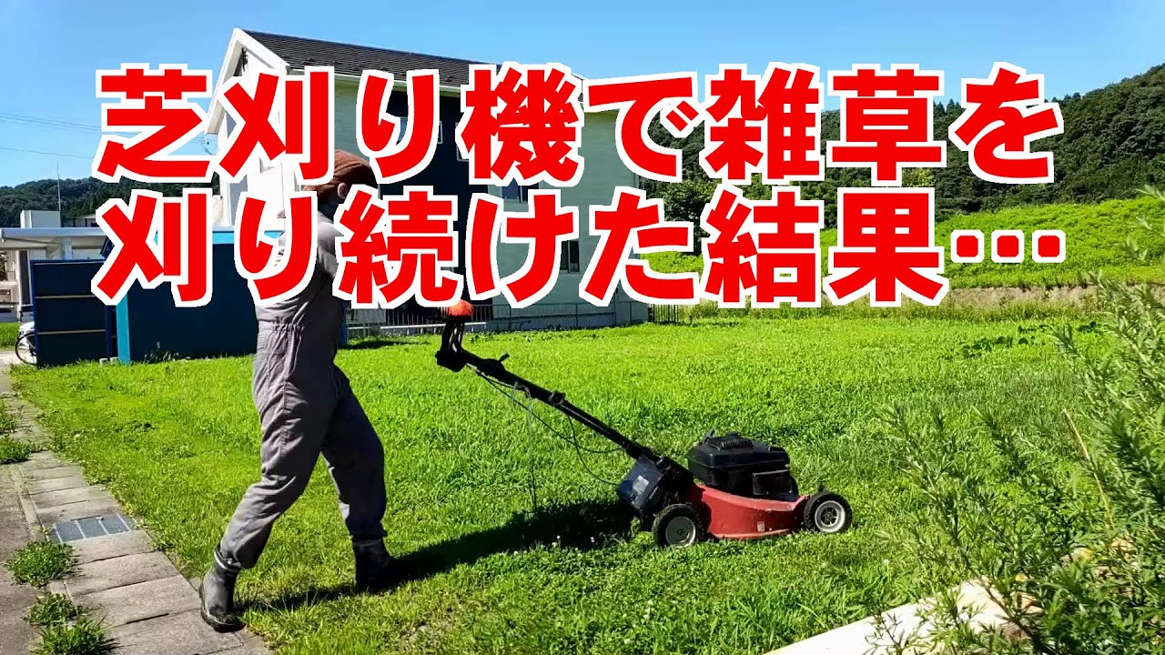 芝刈り機で雑草を刈り続けたらこうなった Youtube