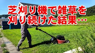 芝刈り機で雑草を刈り続けたらこうなった