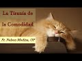 EN VIVO: La Tiranía de la Comodidad