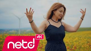 Aycan Sağlam - Ağlattı Gitti
