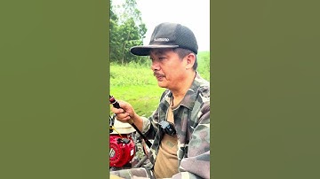 Kinh nghiệm câu cá chuối sộp bằng mồi câu lure