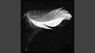 Feather Flight (Instrumental)