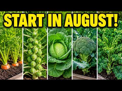 15 Thanksgiving Garden Crops You Should Start Planning in August