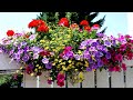 🌺Клумбы и цветники Прекрасные идеи декора для дачи и сада / Great garden ideas / A - Video