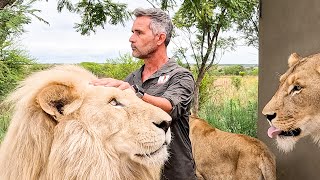 Do The Lions Remember Kevin Richardson? | The Lion Whisperer